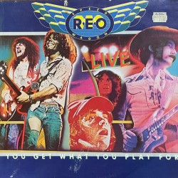 Пластинка Reo Speedwagon You get what you play for (2LP)